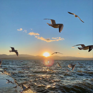 啊别项哪儿皇上男男
