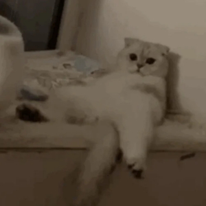 啊别项哪儿皇上男男
